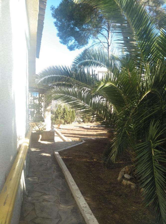 Carmen - Privado Con Piscina, Jardin Y Barbacoa * Alcoceber
